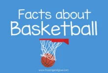 amazing basketball facts